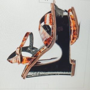 Jeffrey Campbell 10 Havana last platform tortoise ISO